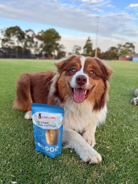 The Best Natural Dog Treats in the Philippines: What Every Pet Parent Should Know