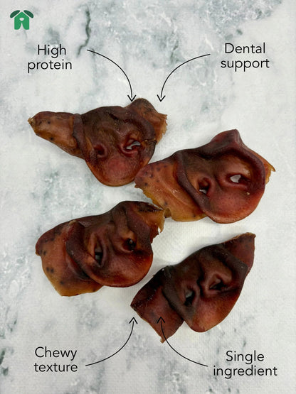 Pig Snouts