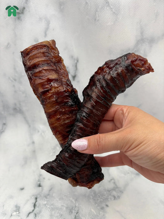 Emu Trachea
