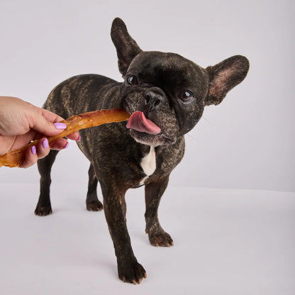 Crocodile Jerky