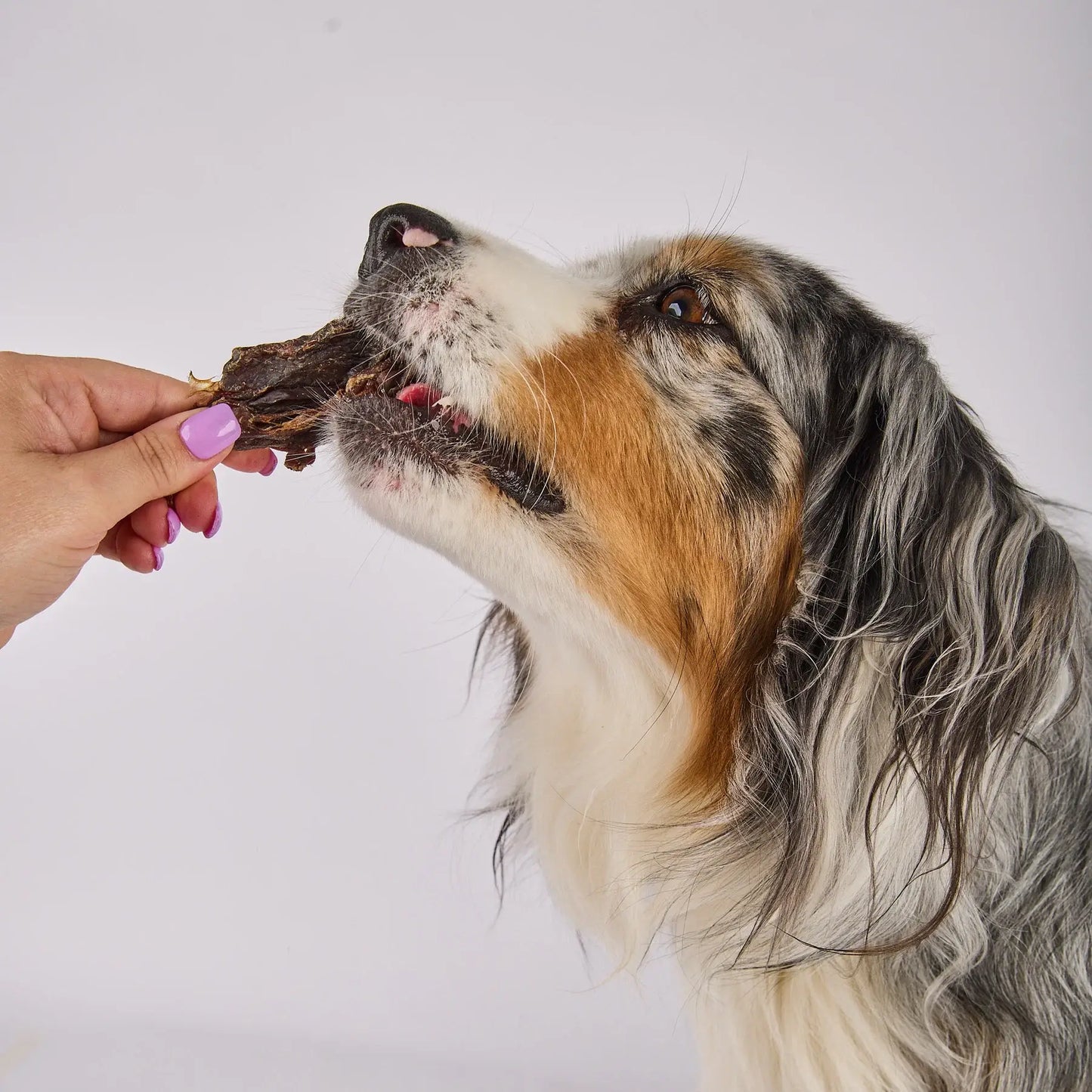 Kangaroo Jerky